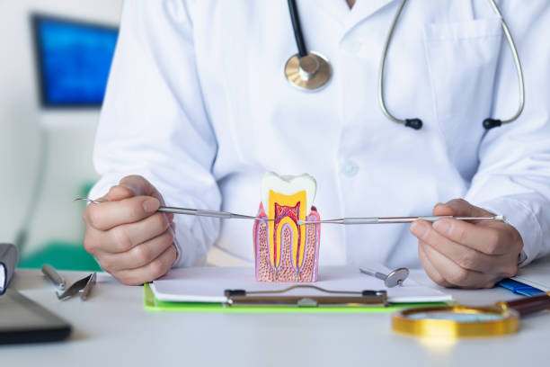 Best Emergency Denture Repair in Oxford, PA